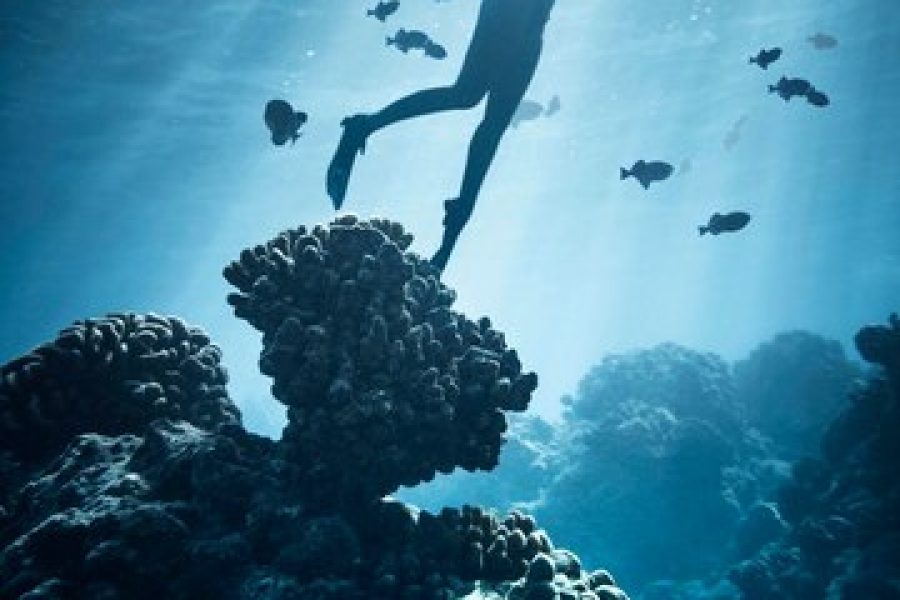 Journée détente et Snorkeling à Sharm El-Naga