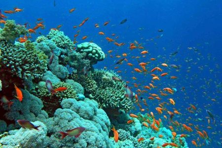 Hurghada égypte