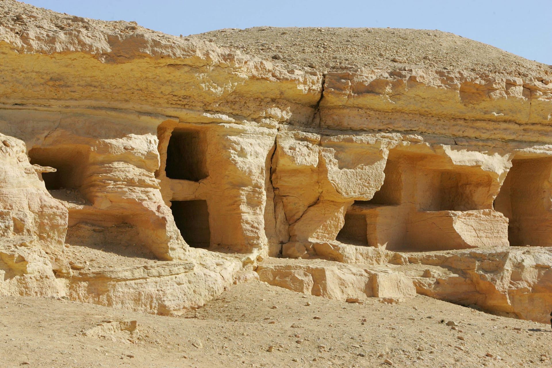 Oasis de Siwa 