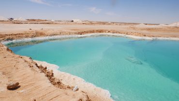 Oasis de Siwa