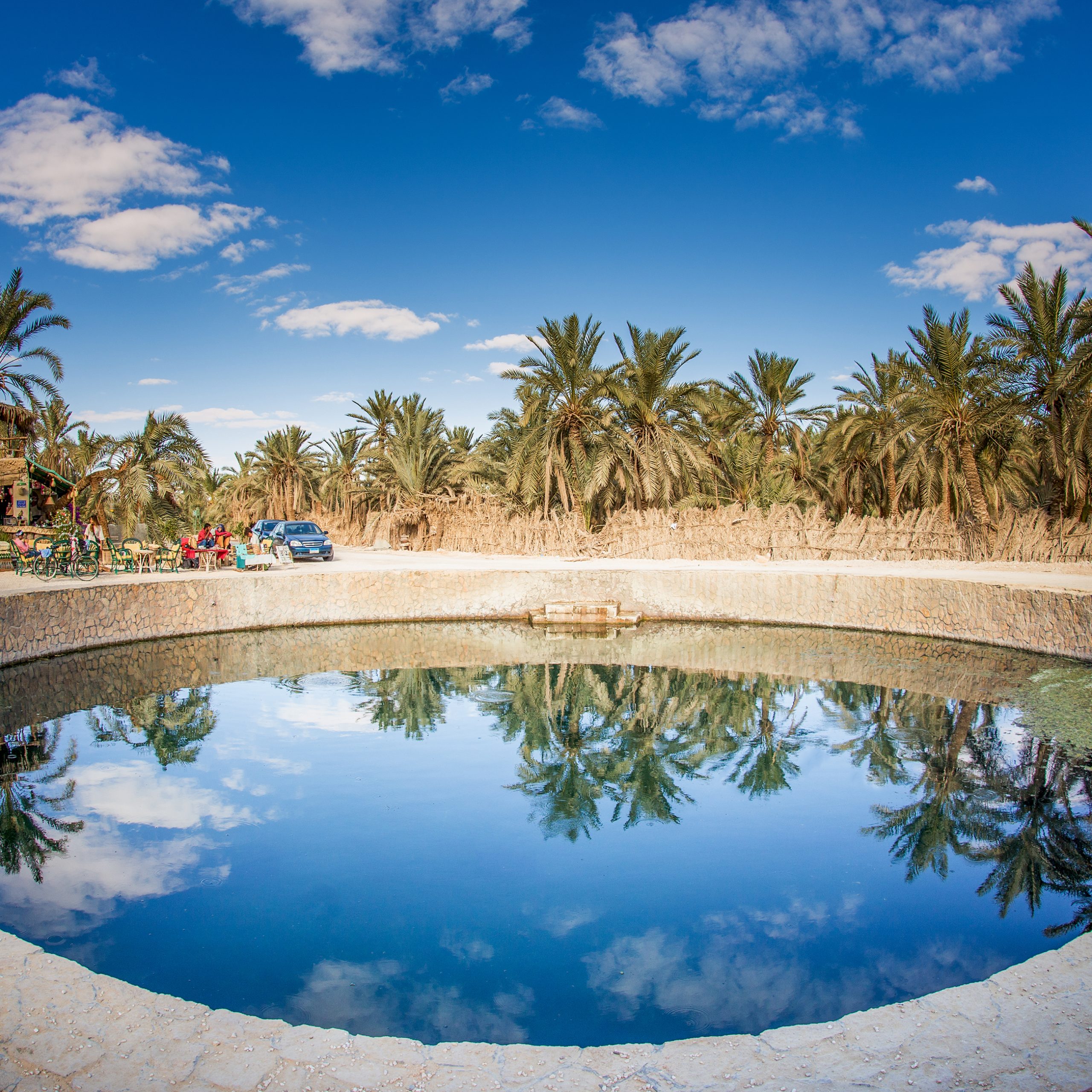 Oasis de Siwa 