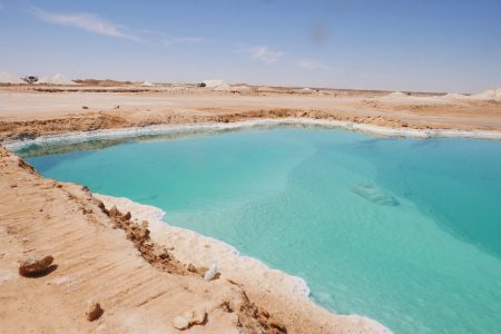 Oasis de Siwa