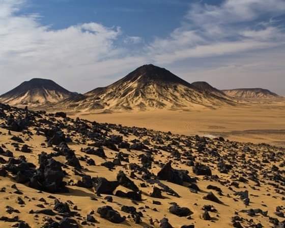 oasis de Bahariya