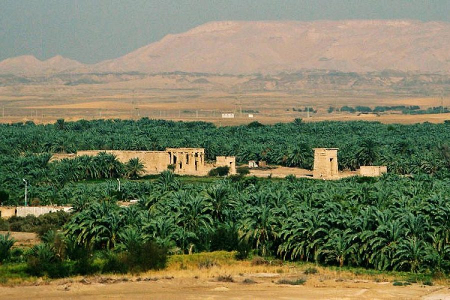 Au départ du Caire pour visiter les oasis d’Egypte